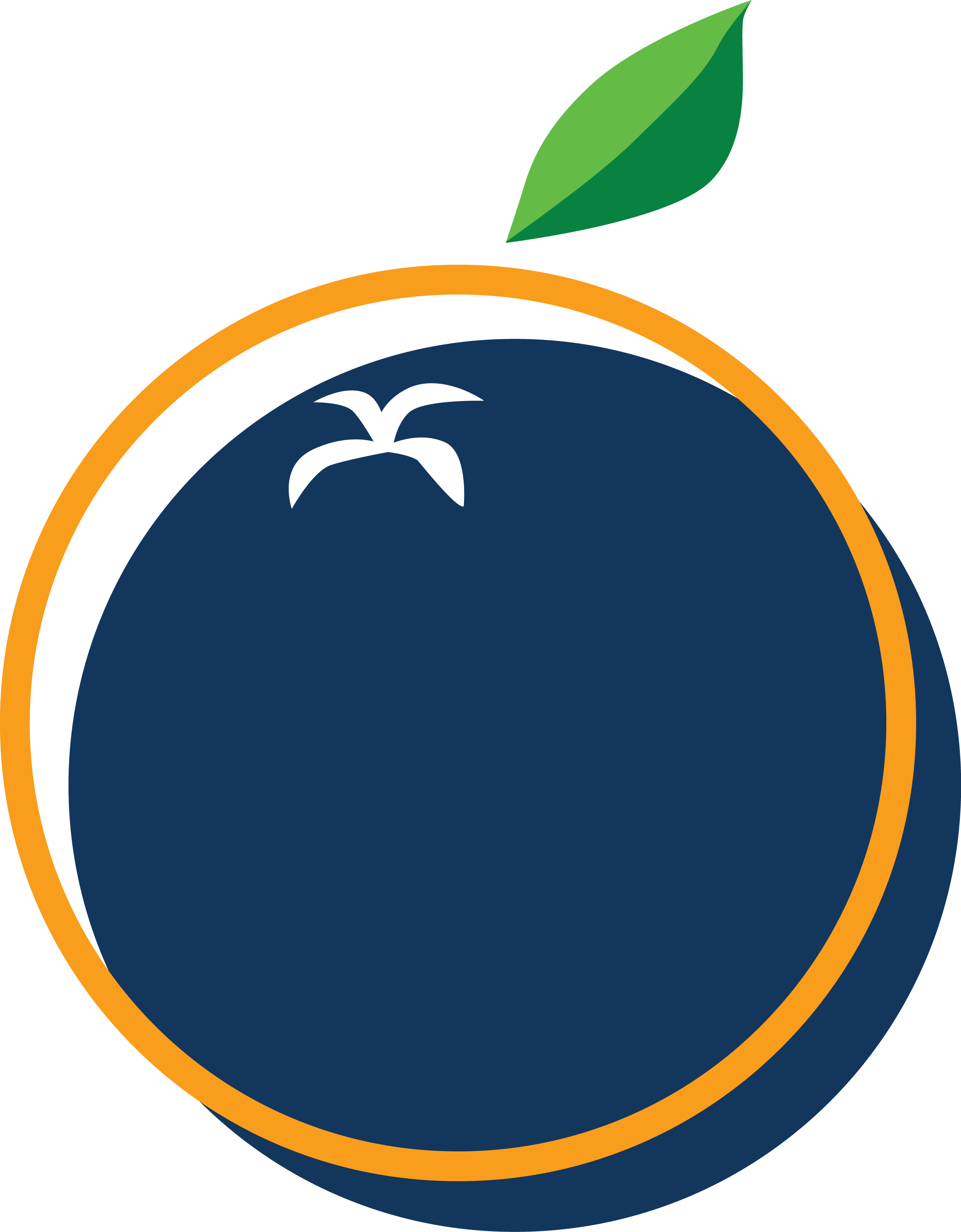 The Blue Tangerine Federation logo.