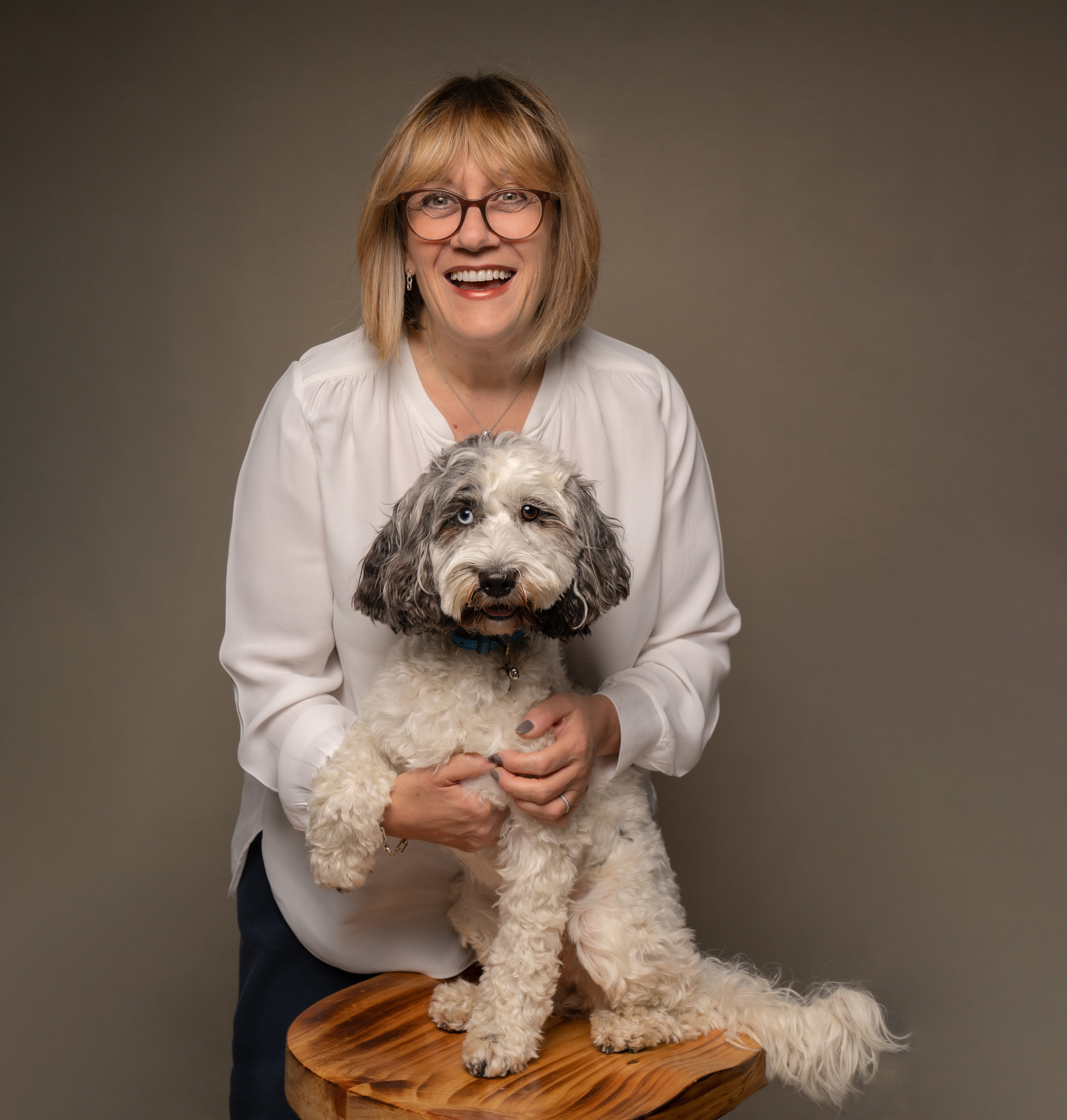 Photo of Bessie, company cockapoo at Twenty-Two Business Support & Development Ltd.